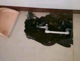 康马卫生间测漏水多少钱